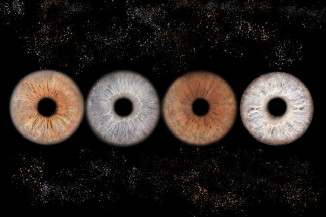 Photographe Iris Calais, Photographe Iris